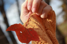 fall-sweater-leaf-martinak15