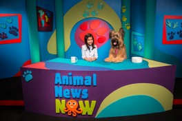 Emerson and Ruckus Animal News Now